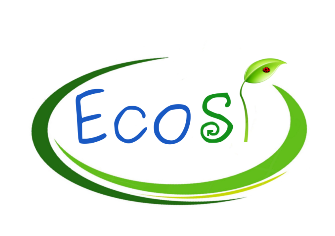 Progetto Ecosì: i giovani ecovolontari per la città